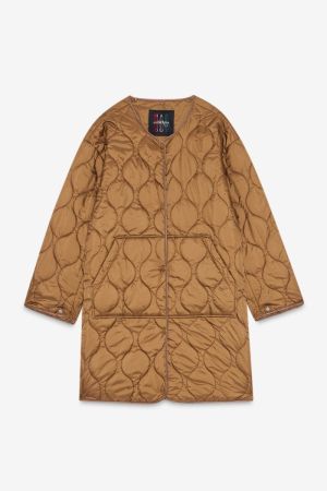  OLIVA